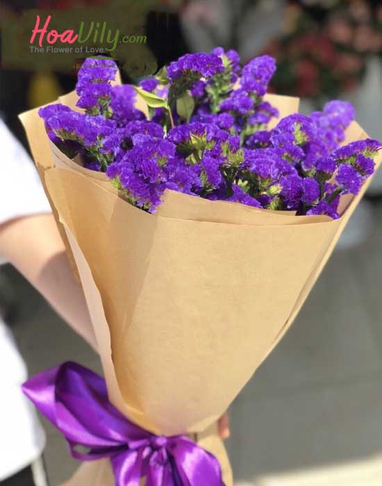 Tím biếc Salem - Hoavily