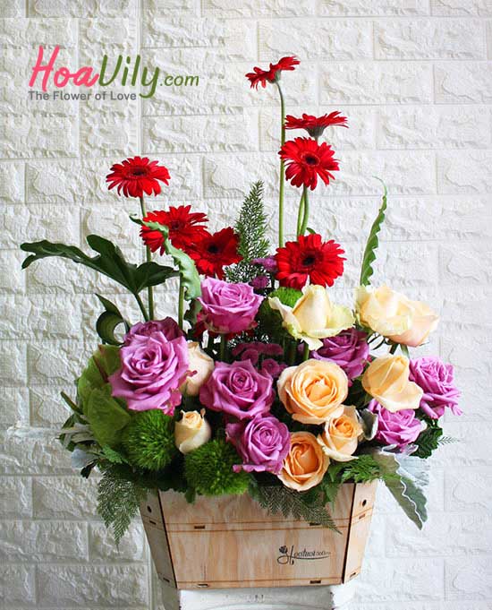 Hoa sinh nhật - Tình yêu thơ ngây - Hoavily