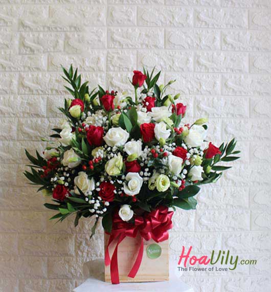 Hộp hoa chúc mừng - Ngày mới tươi đẹp -hoavily