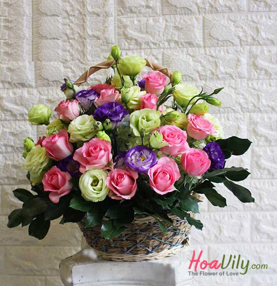Giỏ hoa đẹp - Vườn nắng -Hoavily