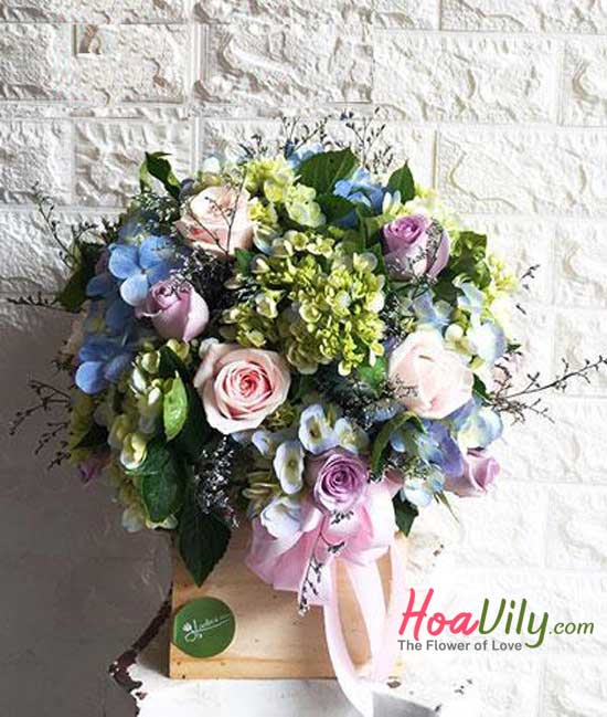 Hoa hộp gỗ: Một ngày mới - Hoavily