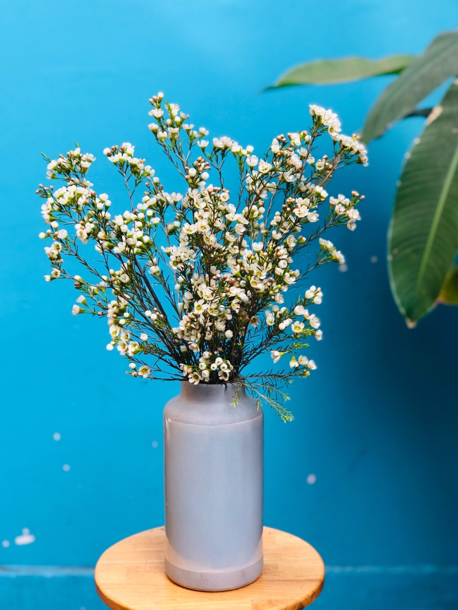 Lọ hoa thanh liễu rất bắt mắt