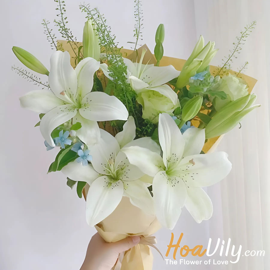 ý nghĩa hoa ly - bó hoa ly trắng thuần khiết