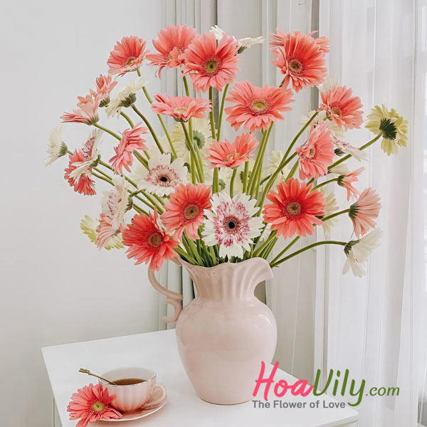 bình cắm hoa đồng tiền - mang ý nghĩa may mắn về tài lộc