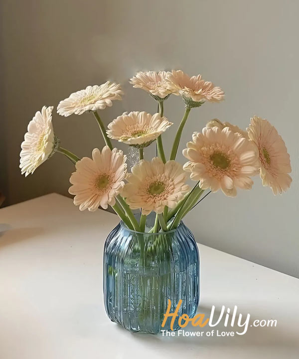 lọ hoa đồng tiền trang trí bàn làm việc