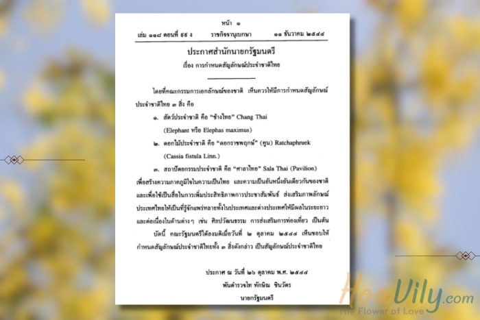 Văn bản tuyên bố hoa muồng hoàng yến là quốc hoa Thái Lan