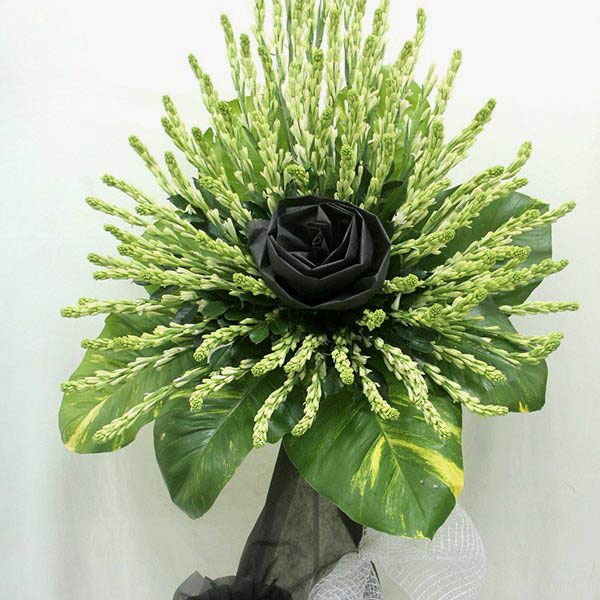 Kệ hoa huệ trắng