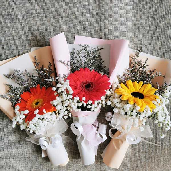 Bó hoa đồng tiền1 bông