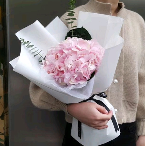 mẫu hoa 1 bông tú cầu