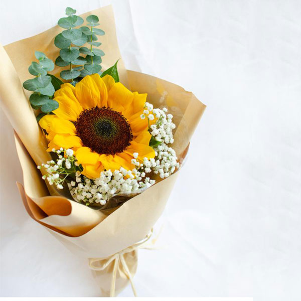 Bó 1 bông hoa hướng dương