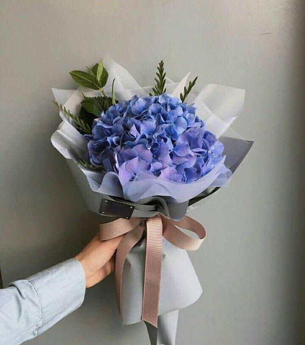 Bó hoa cẩm tú cầu 1 bông
