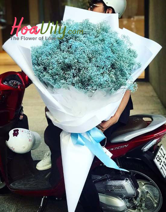 hoa baby đẹp tại hoavily.com