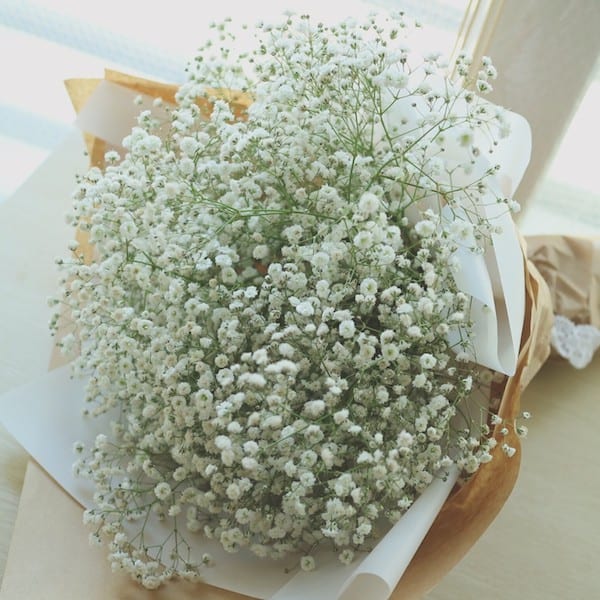 Bó hoa baby được sử dụng trong tất cả mọi dịp lễ và có thể kết hợp với nhiều loại hoa khác
