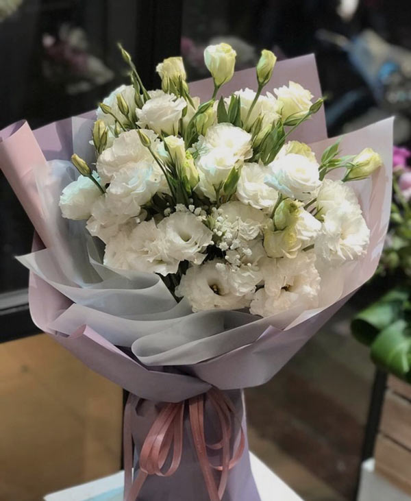 Bó hoa cát tường trắng tinh khôi