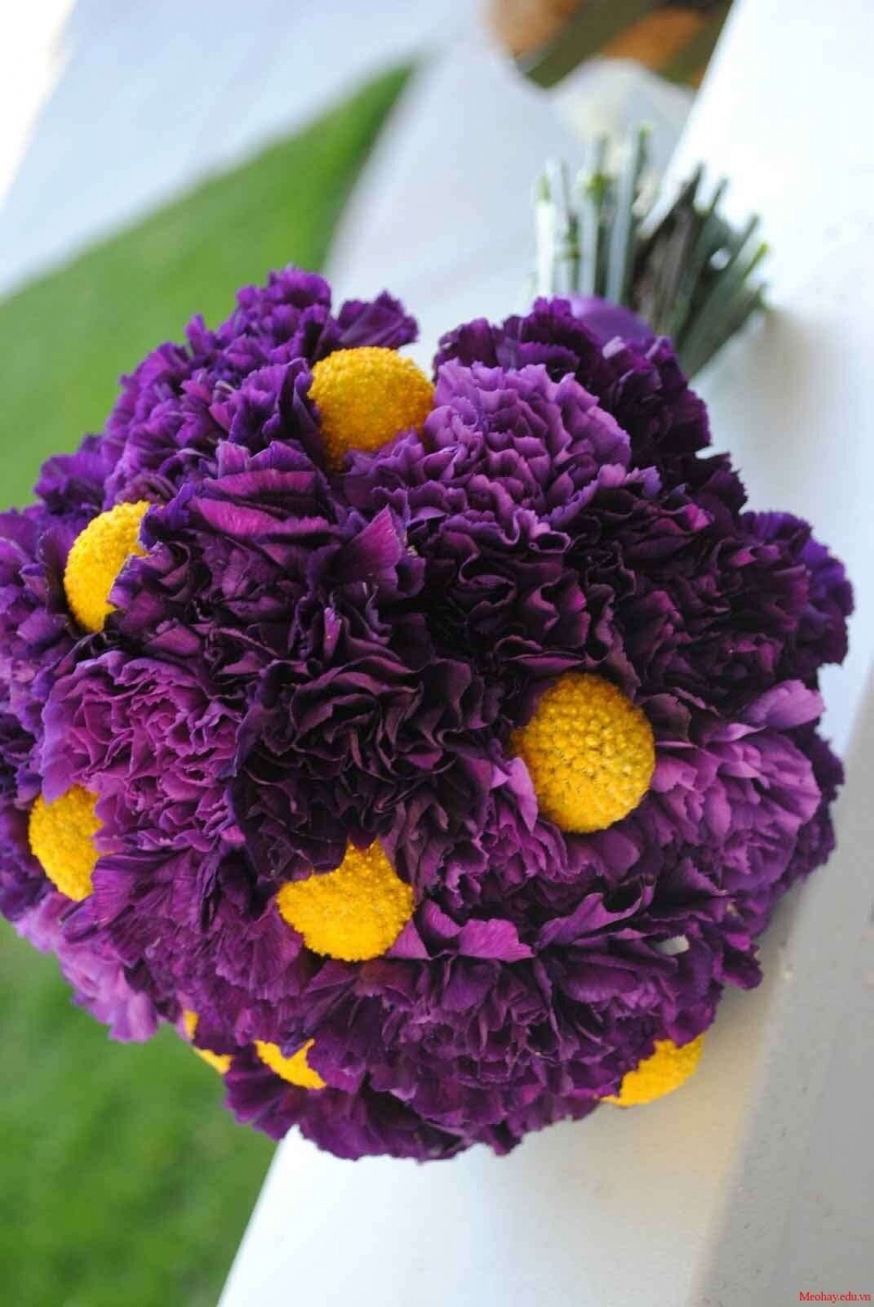 Bó hoa thược dược tím