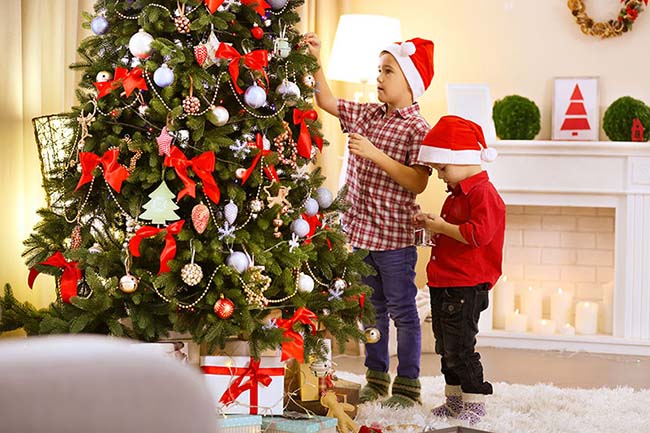 Cây thông Noel - Biểu tượng cho một mùa giáng sinh an lành