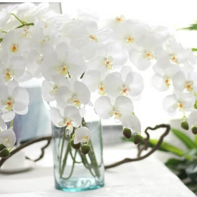 chậu hoa lan hồ điệp giả đẹp sang trọng