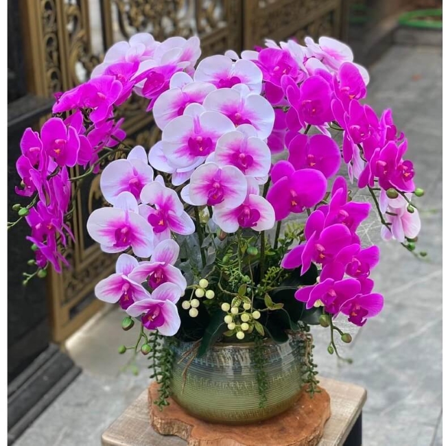 mua chậu hoa lan hồ điệp giả đẹp