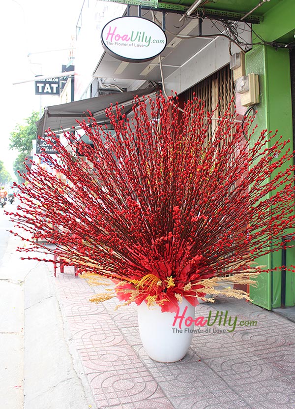 Giá bán của hoa nụ tầm xuân năm mới