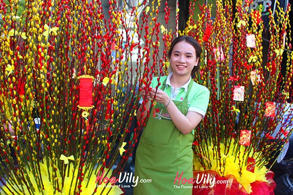 cách cắm hoa nụ tầm xuân