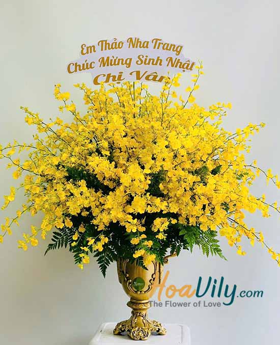 Bình hoa lan vũ nữ - Phú quý tràn đầy
