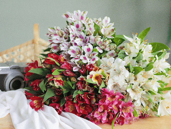 Hoa kỷ niệm 10 năm ngày cưới – Hoa thủy tiên