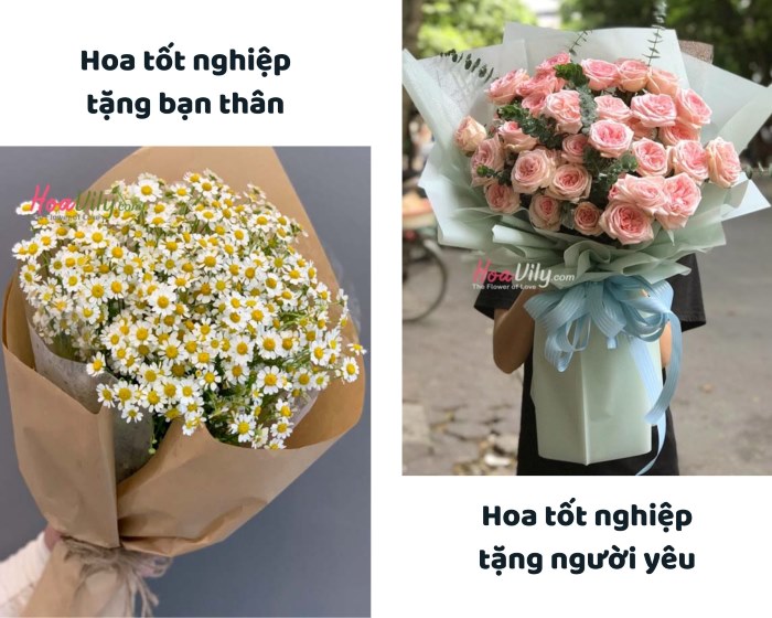 Mẫu hoa tặng tốt nghiệp đại học từ cúc tana và hoa hồng