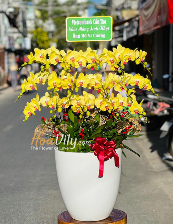 Chậu lan hồ điệp vàng - Sung túc cả năm