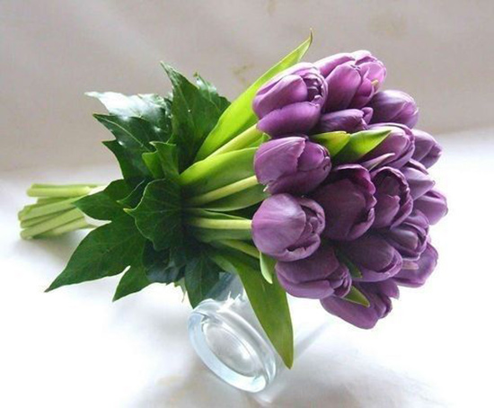 Bó hoa Tulip tím đẹp nhất