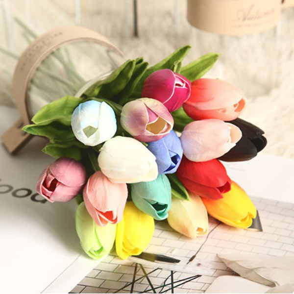 Hoa Tulip trắng phối kèm với nhiều màu khác nhau