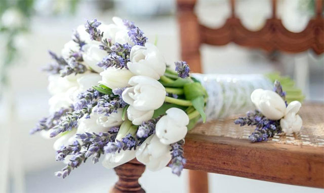 Hoa Tulip trắng điểm thêm hoa Lavender thơ mộng