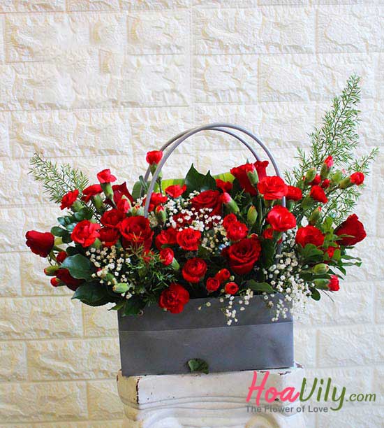 Hoa mừng giáng sinh - Mùa của ấm áp