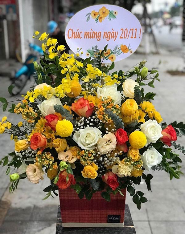 Hoa 20/11 kèm lời chúc đến thầy cô