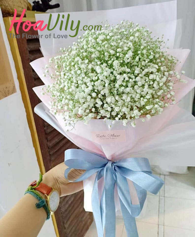 Bó hoa baby xinh xắn Bó hoa baby xinh xắn tại hoavily.com