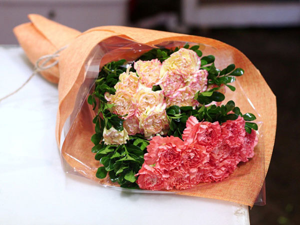 Hoa cẩm chướng 8/3 tặng mẹ
