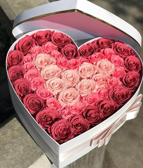 Hoa hồng trái tim đẹp rực rỡ