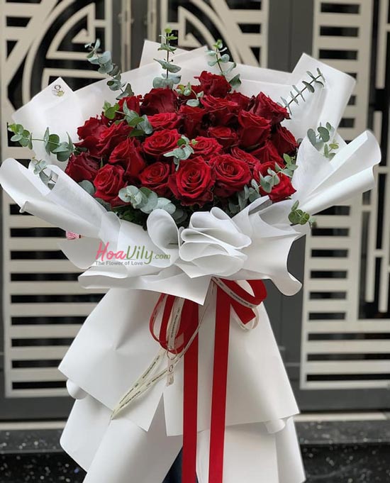 Hoa hồng đỏ giáng sinh