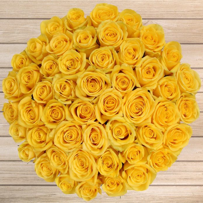 Hoa hồng vàng tượng trưng cho nỗi buồn