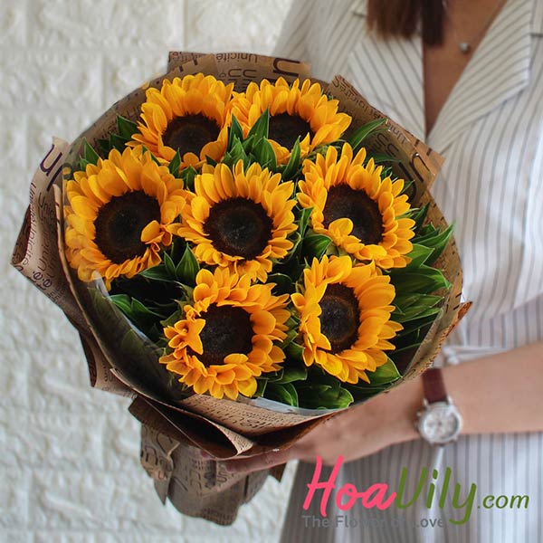 Hoa hướng dương bó tròn