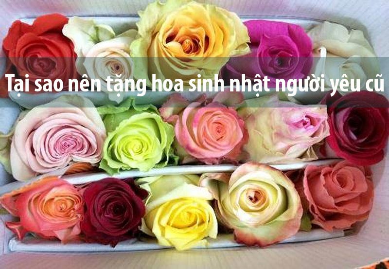 Tặng hoa sinh nhật cho người yêu cũ