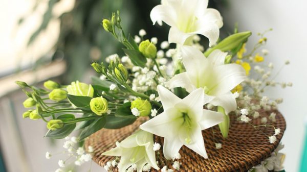 Bó hoa loa kèn đẹp nhất tại cửa hàng hoavily