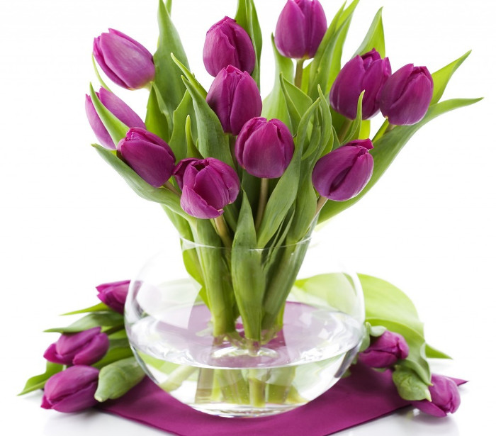 Hoa tulip tím với ý nghĩa thật đặc biệt