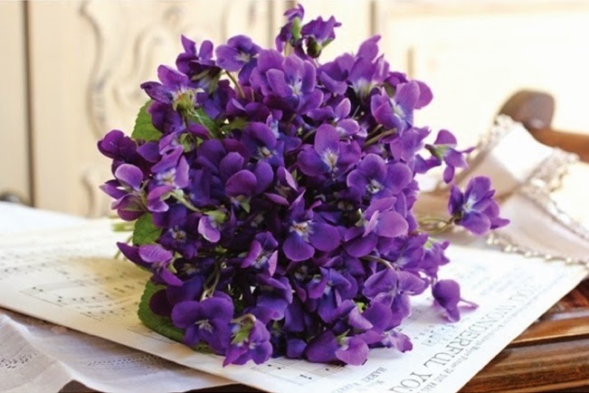 Bó hoa violet là món quà tặng sinh nhật tháng 2 