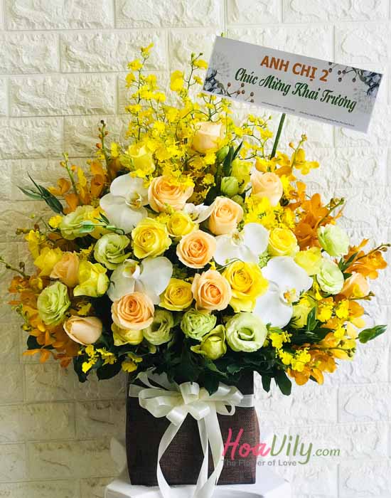 Hoa chúc mừng - sắc vàng rực rỡ 