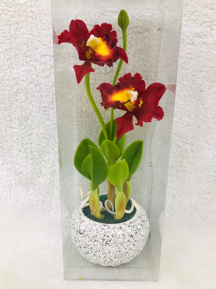 Những loại lan màu đỏ đẹp nhất