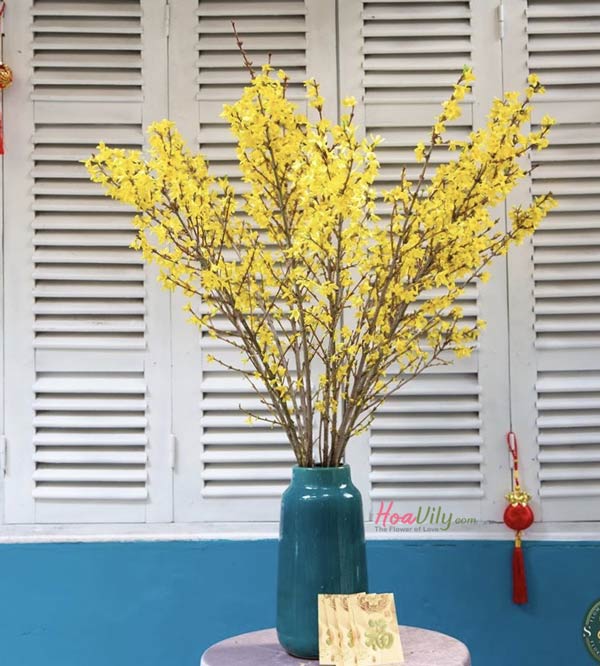 Bình hoa mai mỹ chưng ngày tết