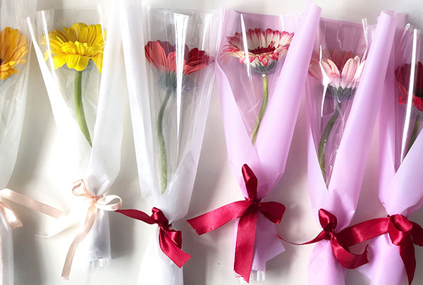 Hoa bó 1 bông đồng tiền