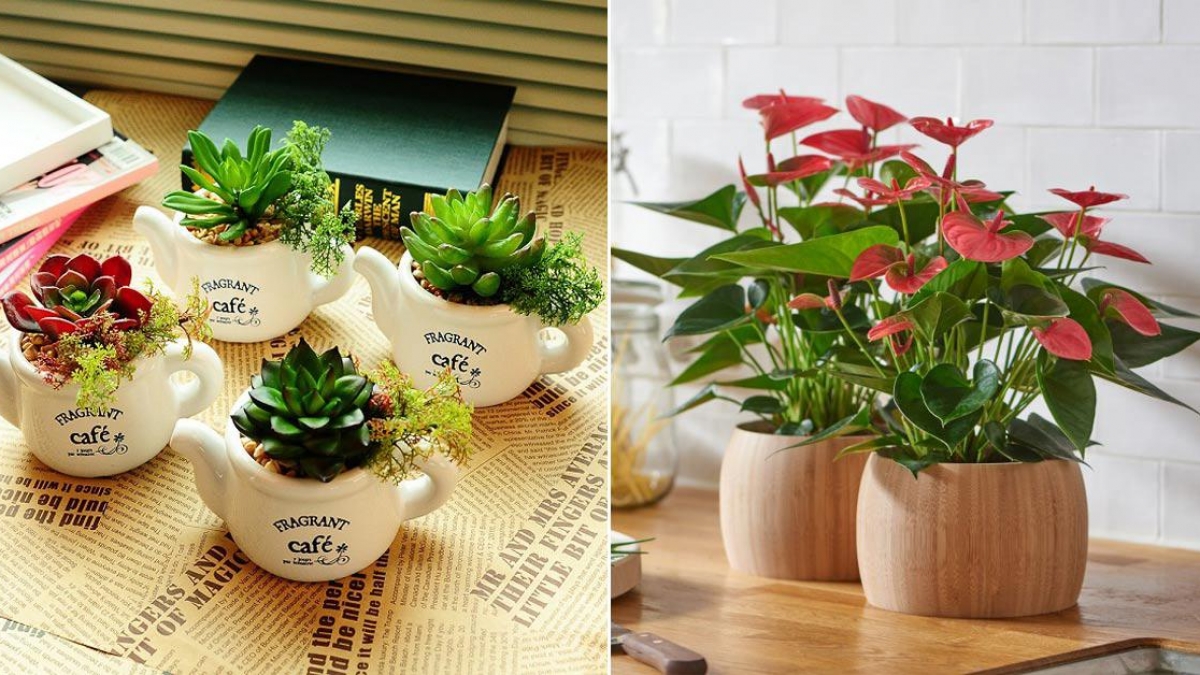 Mẫu hoa để bàn làm việc nhỏ xinh 
