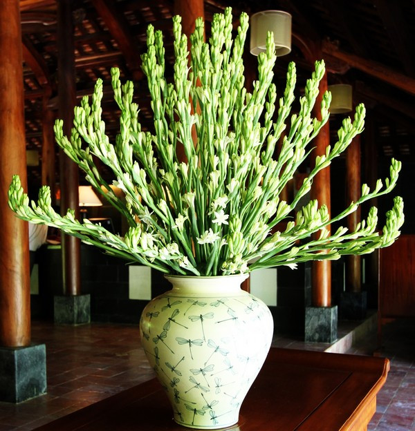 Bình hoa huệ trắng nhẹ nhàng