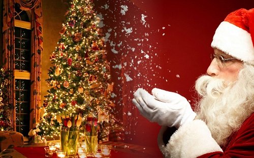 Tháng 12 hội tụ người thân yêu và hoa giáng sinh cùng chúc mừng Giáng Sinh ấm áp, an lành